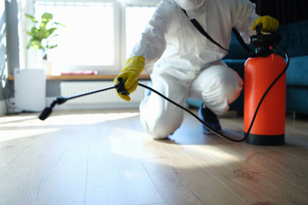 Reliable Odor Removal contractor in Menlo Park, CA by Trauma Clean Pros